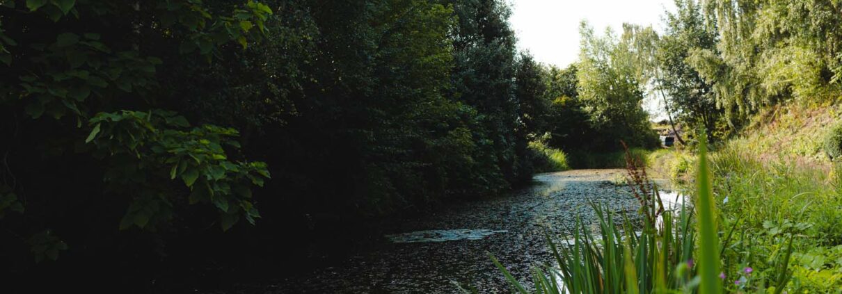 ponds at blyton springs | benefits of living in the countryside | Laird Estates