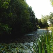 ponds at blyton springs | benefits of living in the countryside | Laird Estates