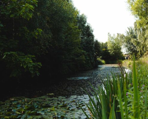 ponds at blyton springs | benefits of living in the countryside | Laird Estates
