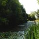 ponds at blyton springs | benefits of living in the countryside | Laird Estates