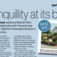 Warren Park PHHL Feature